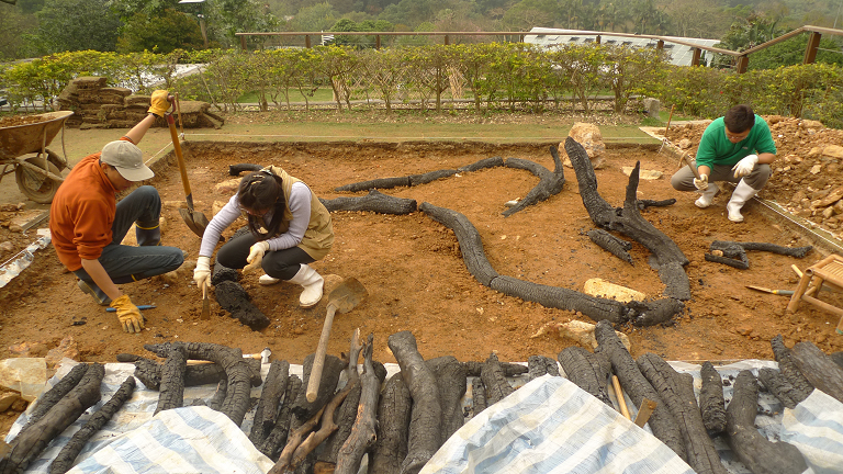 我园科普工作人员协助完成KFBG的“绿林脉搏”环境艺术活动\我园科普工作人员协助完成KFBG的“绿林脉搏”环境艺术活动\图3 协助艺术家清理“龙身”