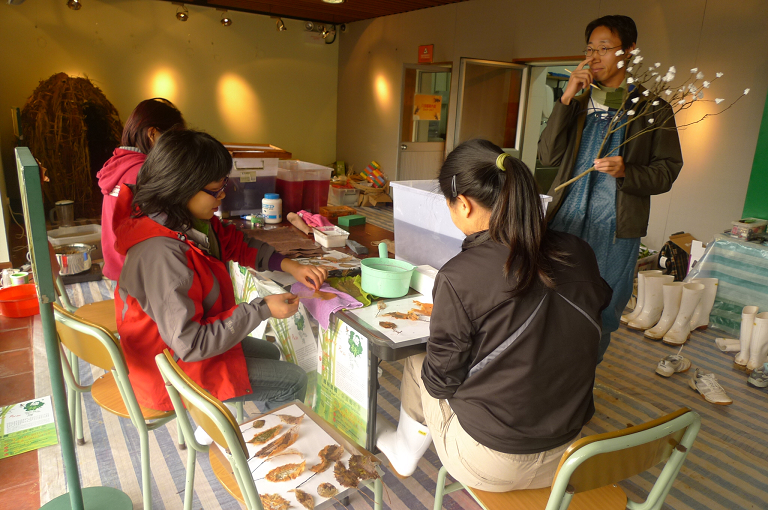 我园科普工作人员协助完成KFBG的“绿林脉搏”环境艺术活动\我园科普工作人员协助完成KFBG的“绿林脉搏”环境艺术活动\图4 协助艺术家利用植物纤维造纸、造“石”